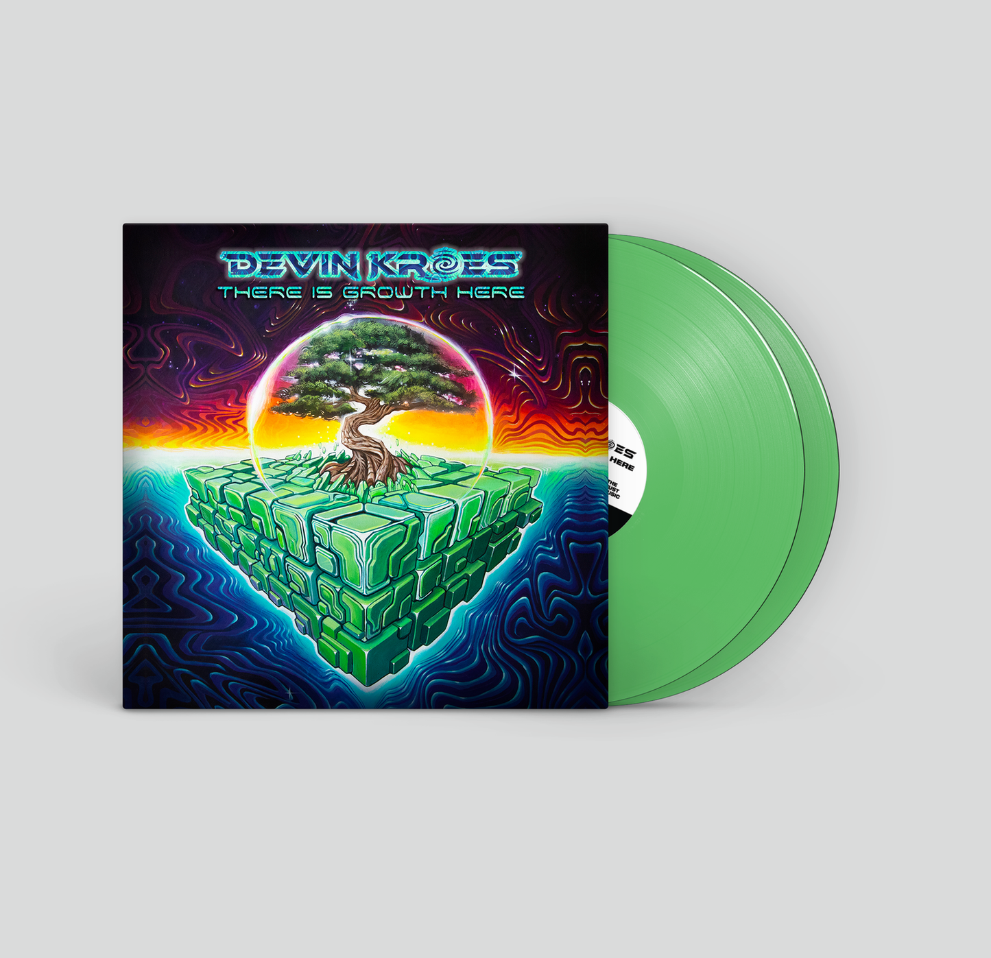 Devin Kroes - There Is Growth Here | Double Vinyl, 180g